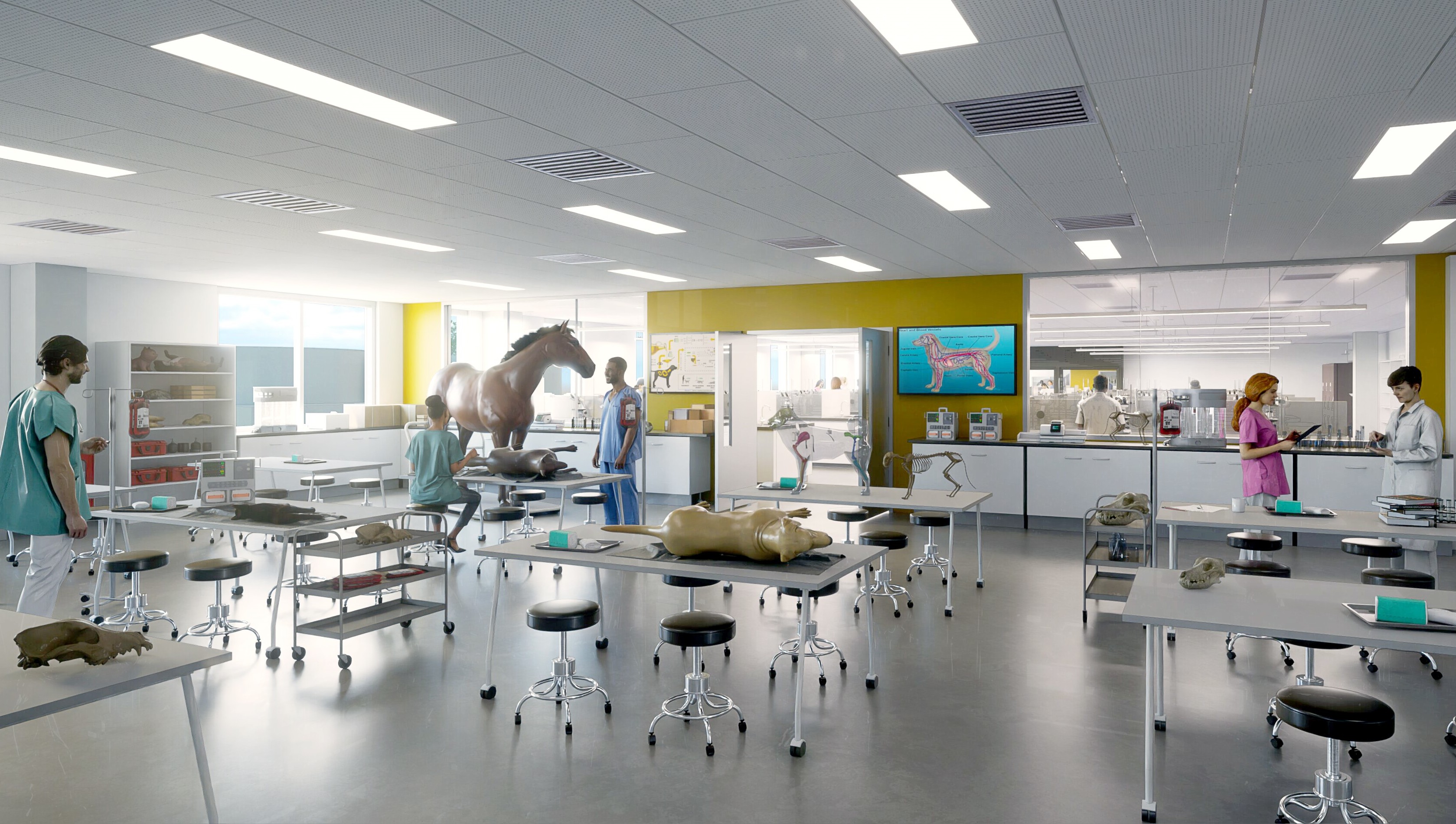 Rendering of Clinical Skills at the Shreiber School of Veterinary Medicine