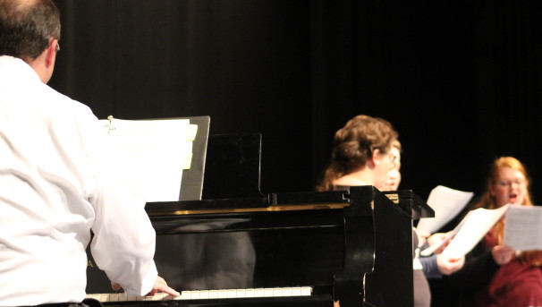 SBU's Opera-tunity 2017 Image