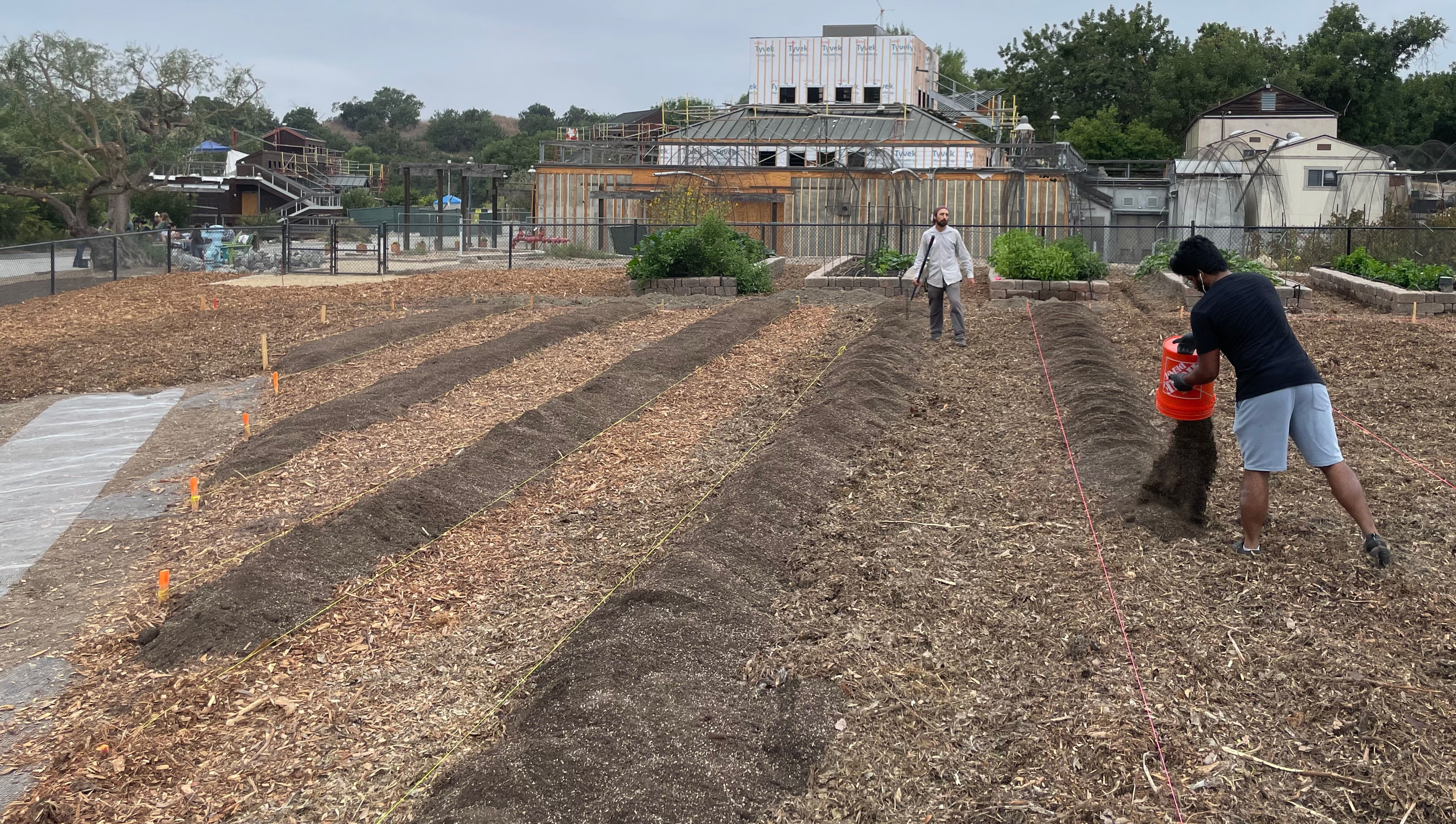 Building the no-till garden rows