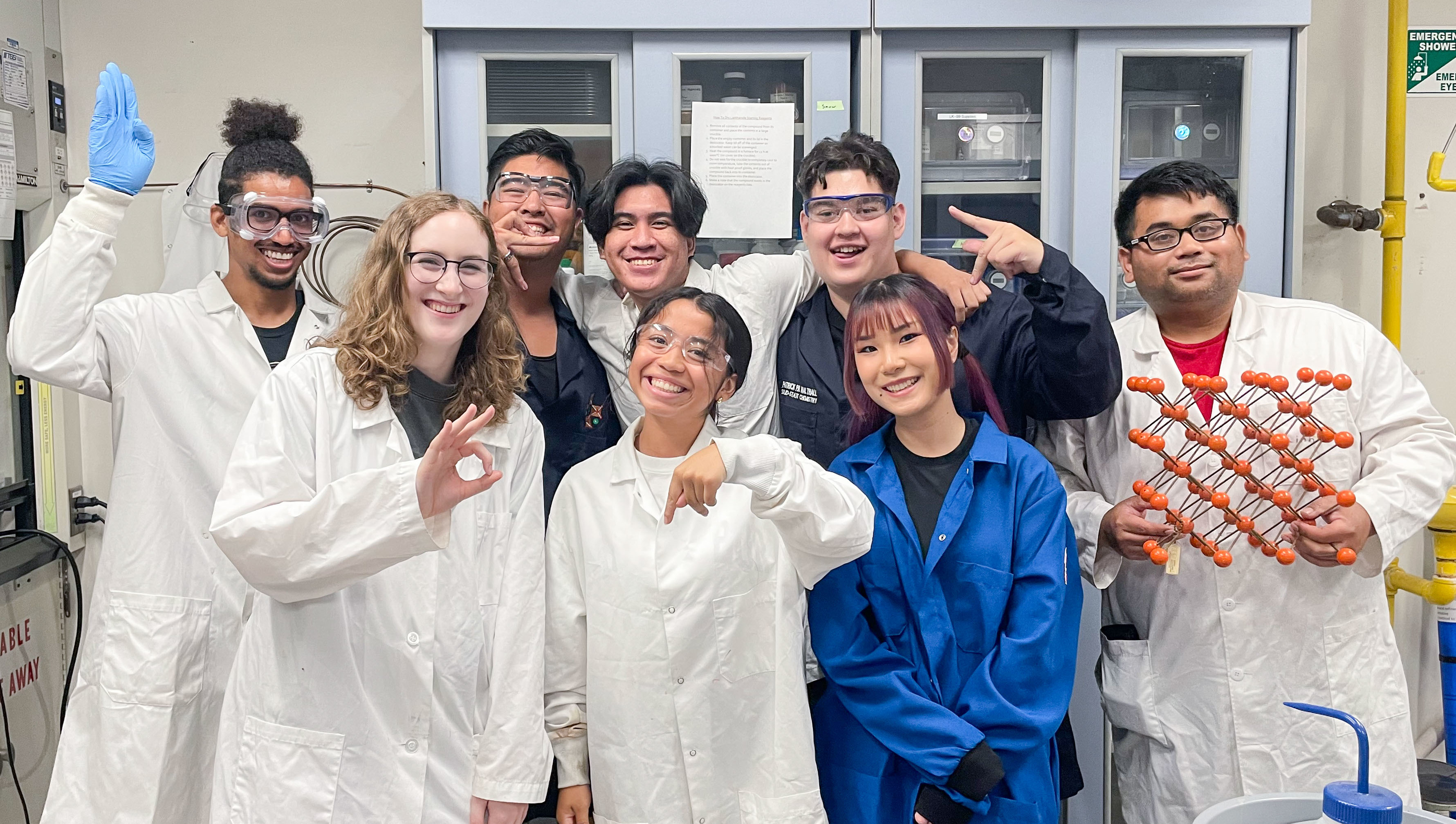 Students in Allyson Fry-Petit's research lab