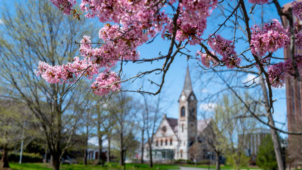 Photo of Old Chapel through the trees