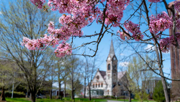 Photo of Old Chapel through the trees