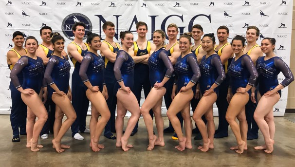 Cal Gymnastics Club Image