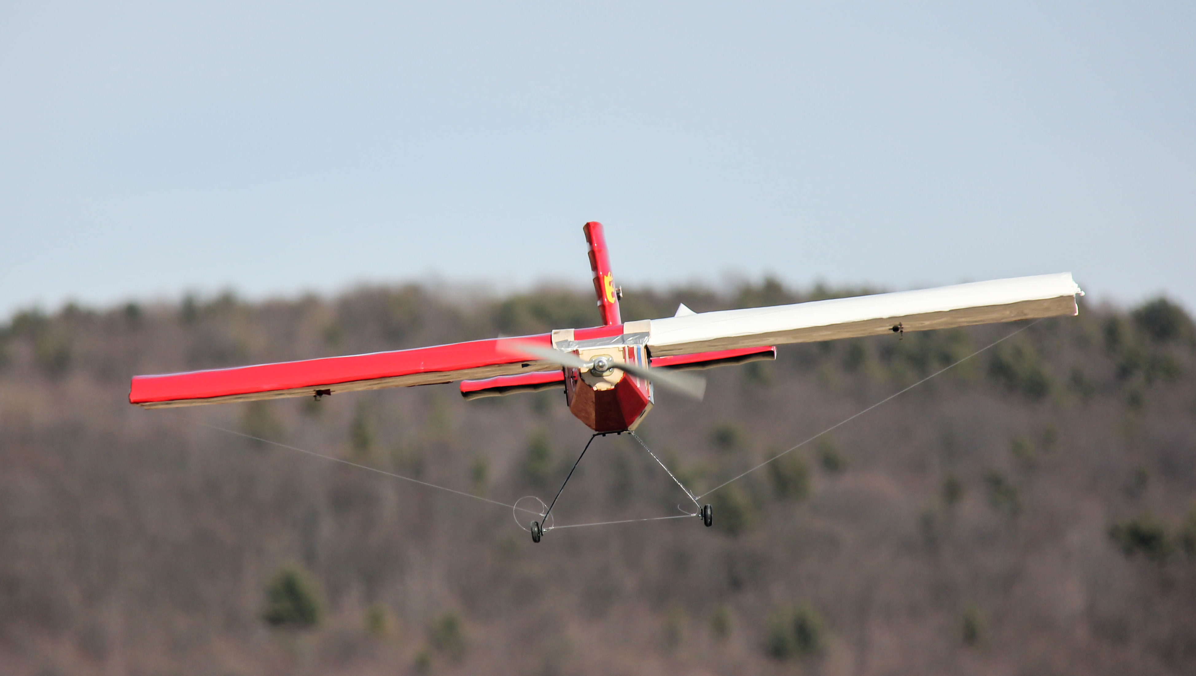 DBF Plane