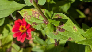 PDIDL-Don't get caught with your plants down!