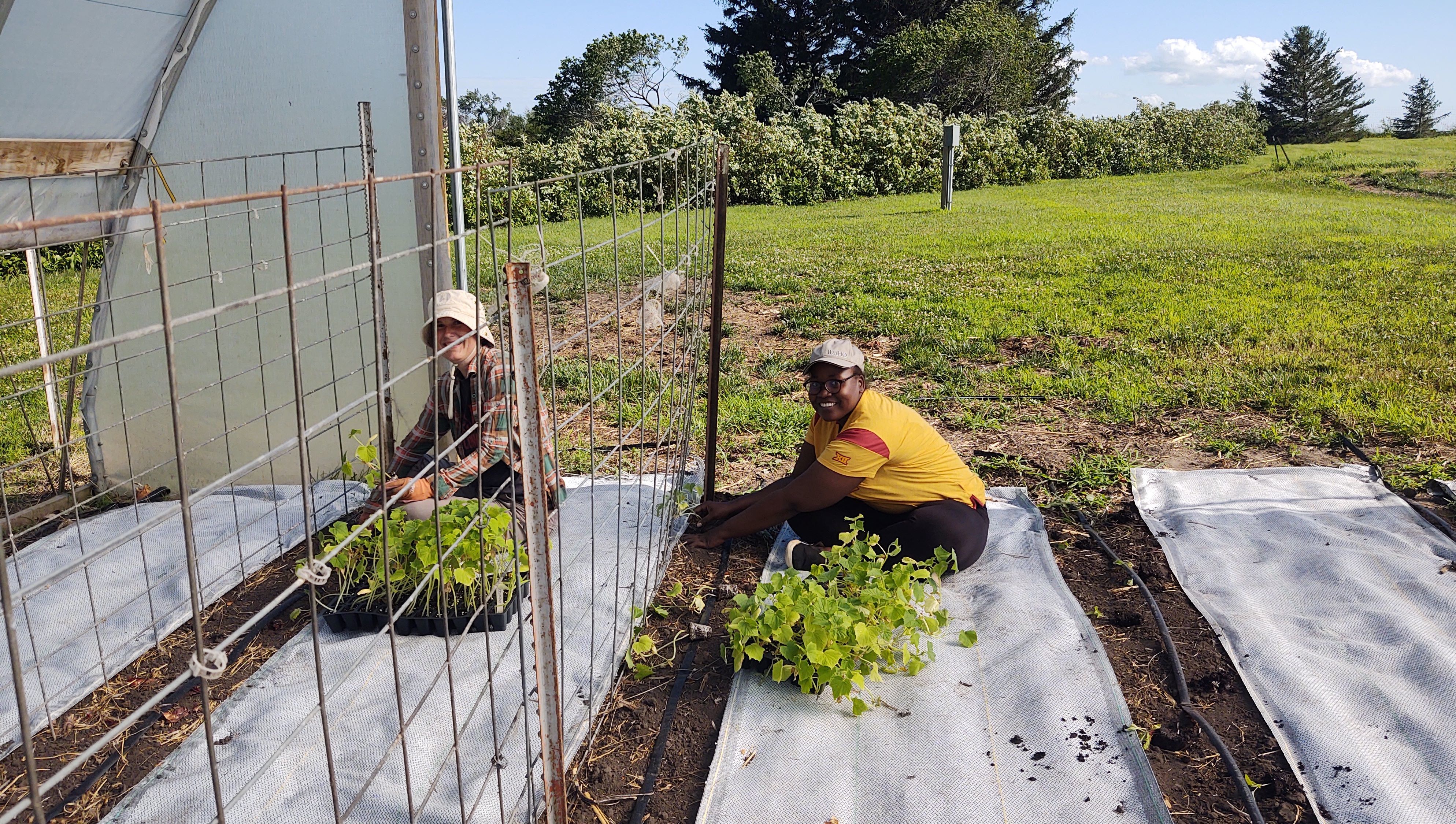 Transplanting Fun!