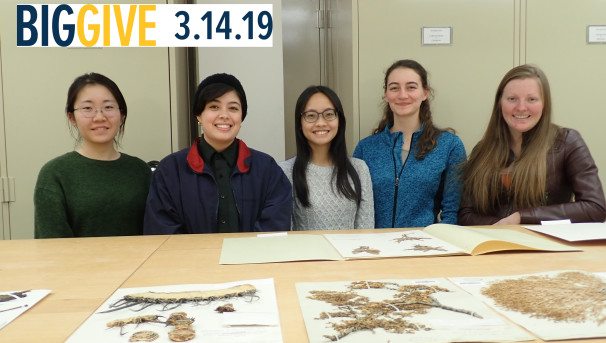 Documenting biodiversity with undergraduate students Image