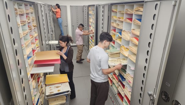 4 students searching for specimens and examining archives of biodiversity collection