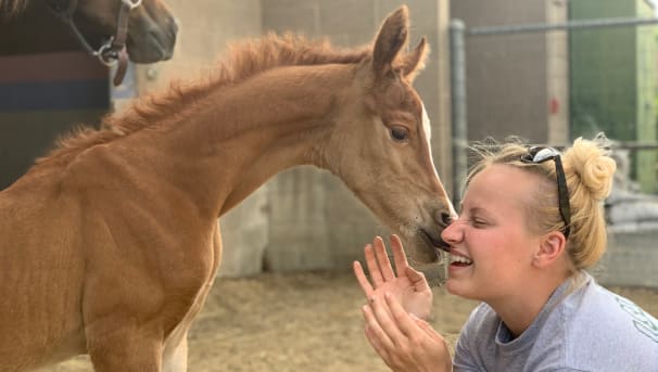 FY21 Horses of the Future at CPP Image