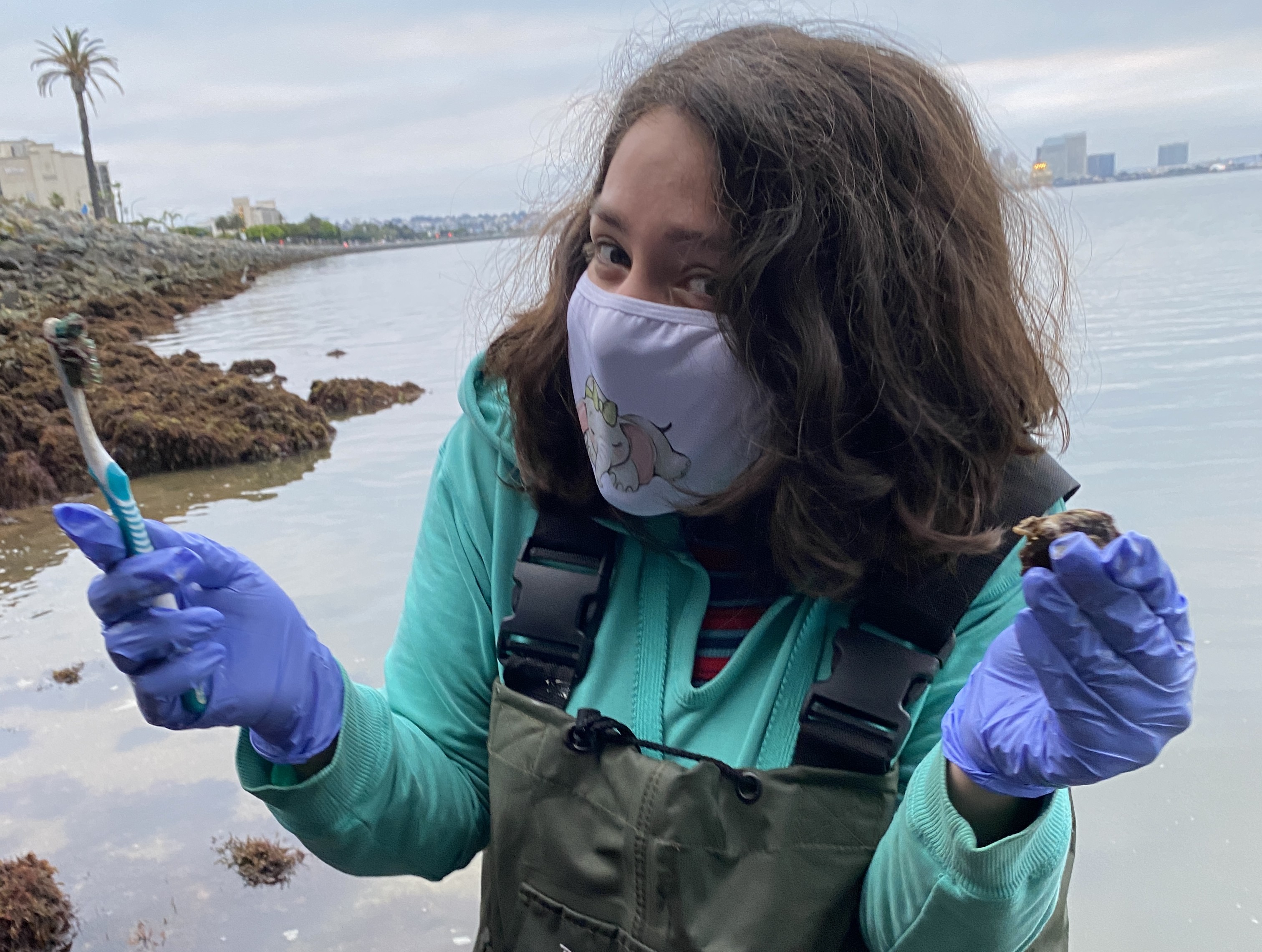 Angelina (2021 cohort) measuring native and non-native oysters in San Diego Bay