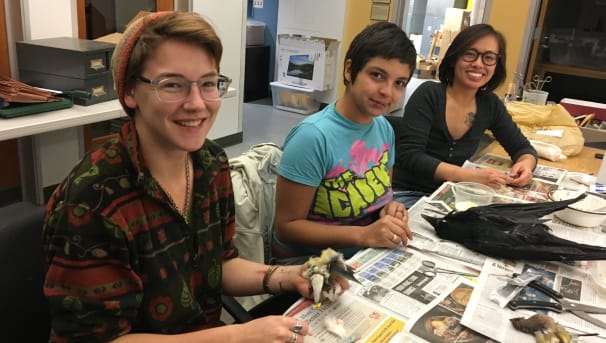 Protect UCSB Natural History Collections Image