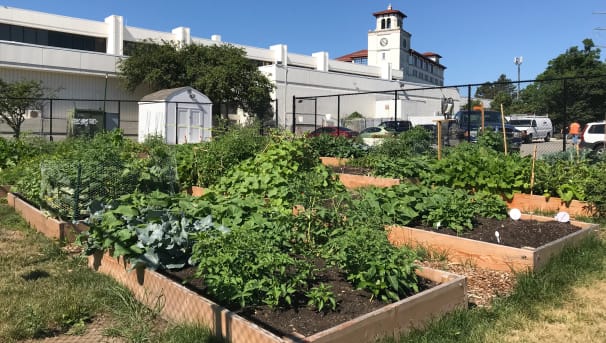 Montclair State University Campus Community Garden Image