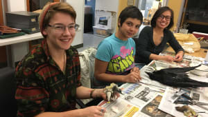 Protect UCSB Natural History Collections