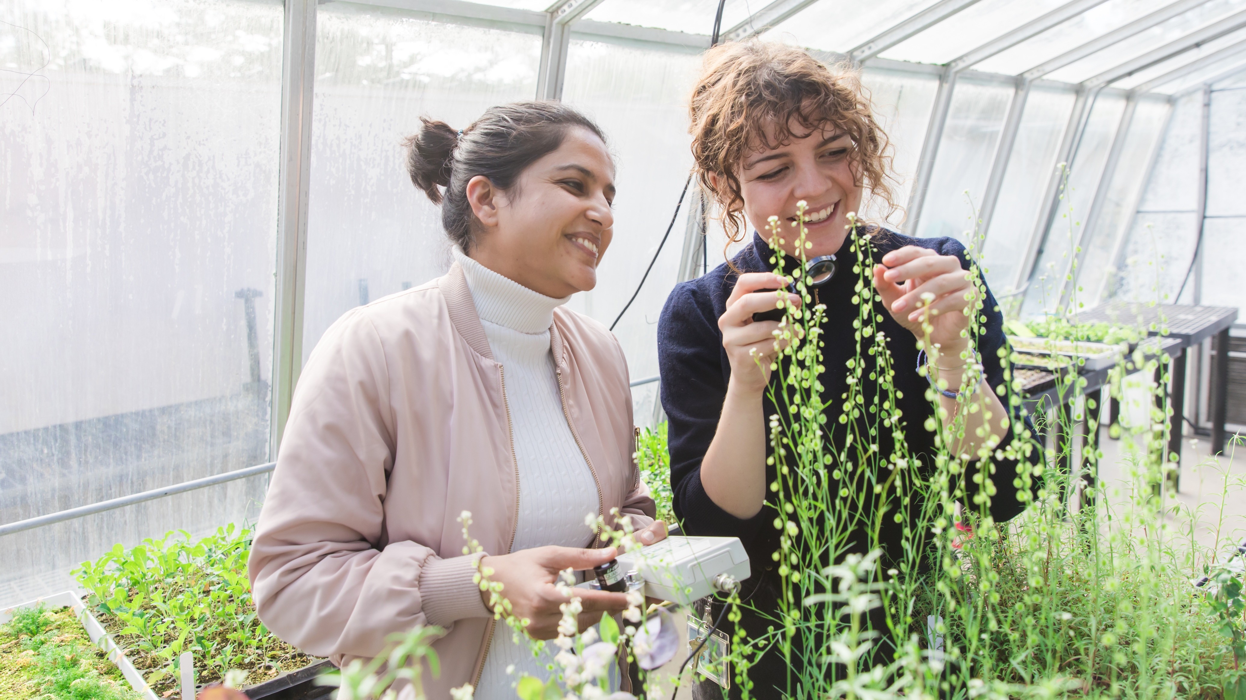 Graduate student and undergraduate research collaboration