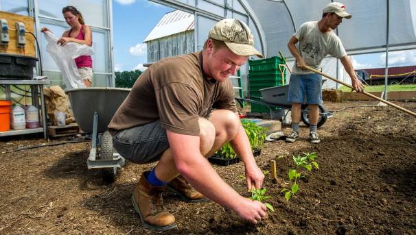 Agriculture Extension Education Fund