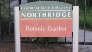 CSUN Botanic Garden