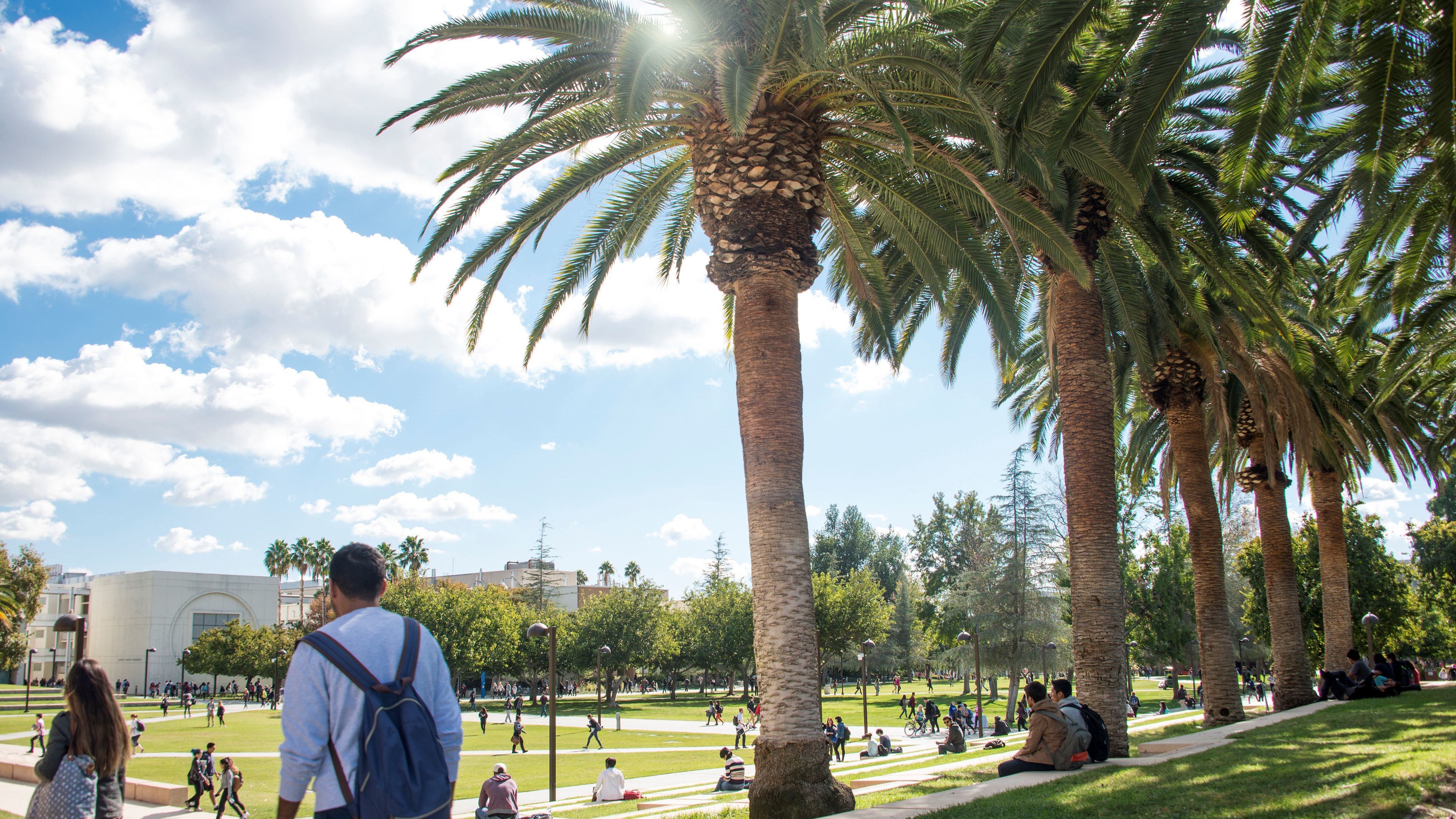 Image overlooking the university library lawn, with students and palm trees in the foreground