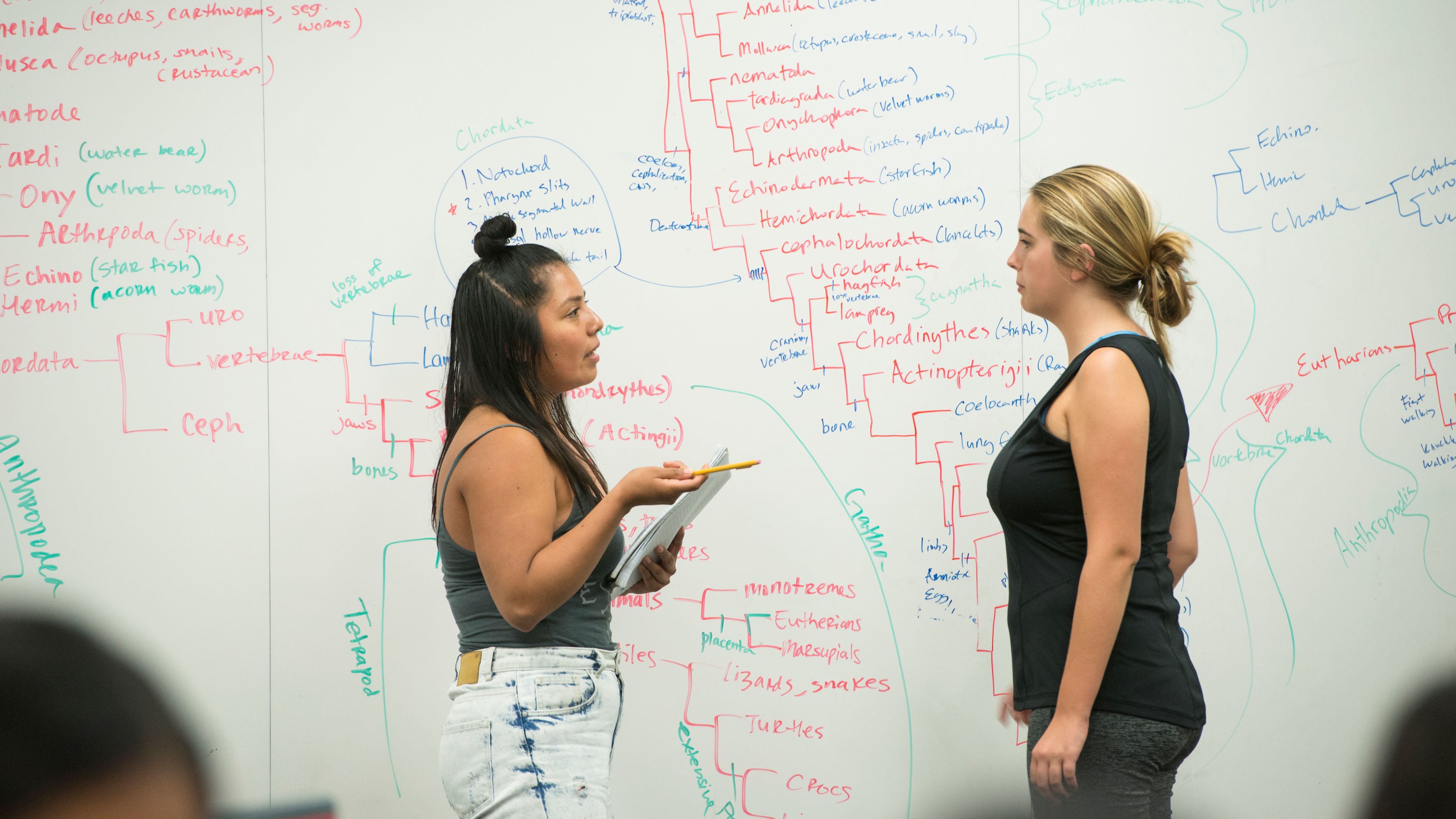 Two students discuss biology concepts in front of a whiteboard covered with scientific diagrams.