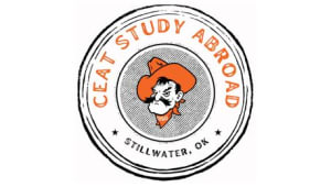 CEAT Study Abroad 2025 - 2026 Scholarships