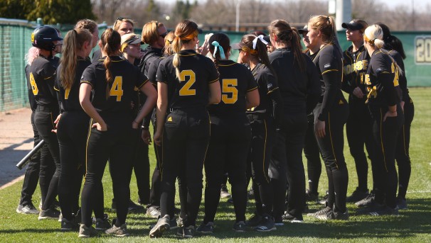 Invest in the Future: Softball Locker Room Renovation Image