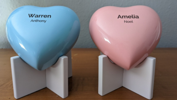 Support Amelia and Warren's Legacy Image