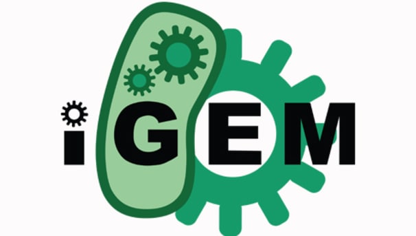 RPI iGEM Team Image