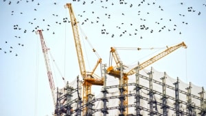 USF Building Renewal Fund