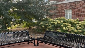 Refurbish the Counseling and Counseling Psychology Clinic