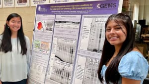 Biology Summer Undergraduate Research