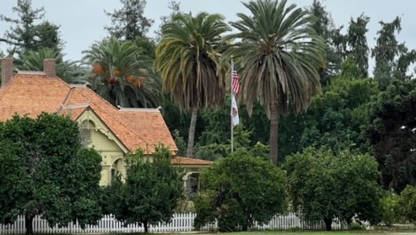 It’s TreeTober at the Arboretum! 2023 Image