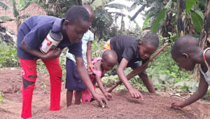 CSRL COVID Relief and Rehabilitation in Uganda