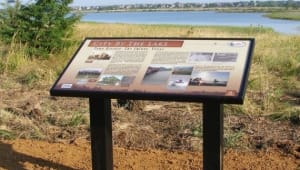 Stebbins Cold Canyon Interpretive Signs