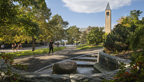 Africana Walking Tour Interactive Map for Cornell and Ithaca Area Image