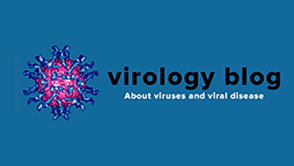 VIROLOGY BLOG'S TRIAL BY ERROR: Reporting on ME/CFS Image