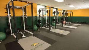 Strength & Conditioning