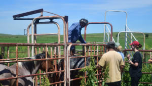 Crow Creek Service Project 2024