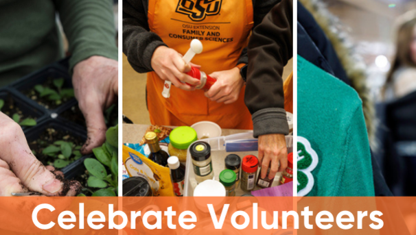 Oklahoma Conference on Volunteerism - Awards and Recognition Image