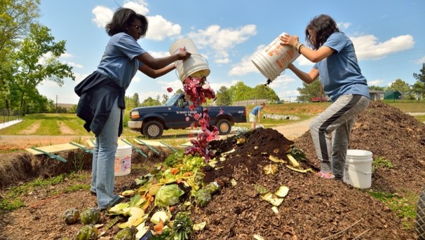 UM Compost Program Image