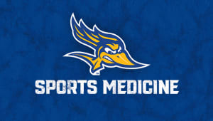 Sports Medicine Excellence Fund