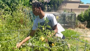 Growing a Sustainable Future