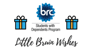 Little Bruin Wishes 2024