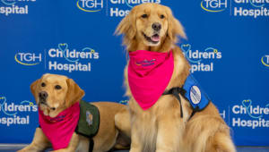 TGH's Pediatric Facility Dogs