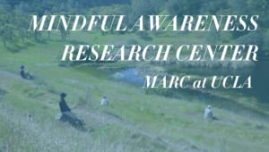 Mindful Awareness Research Center (MARC)