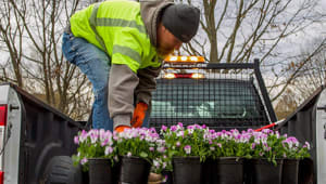 Campus Beautification