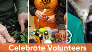 Oklahoma Conference on Volunteerism - Awards and Recognition