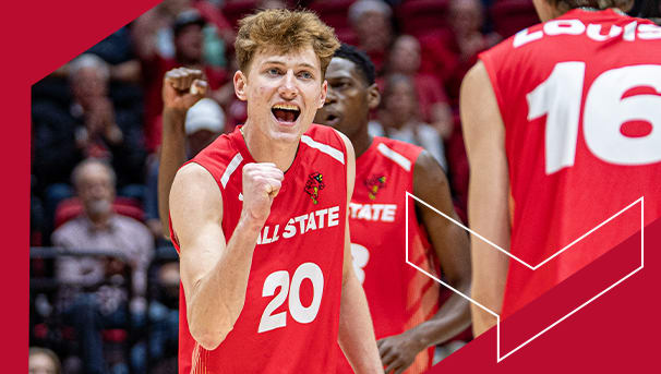 Men's Volleyball Image