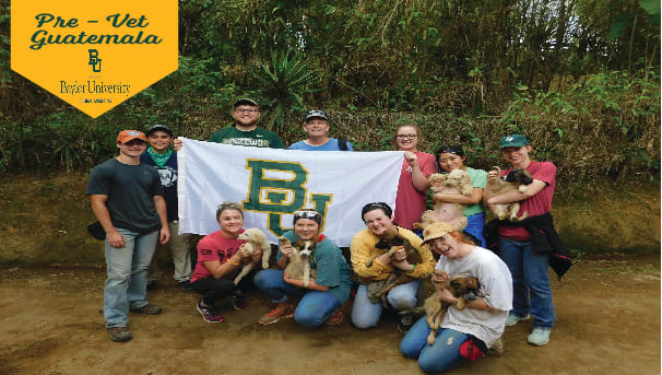 Pre-Vet Guatemala Mission Trip Image