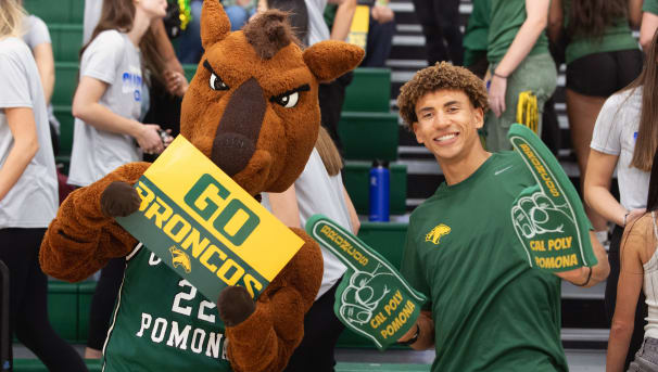 Ariel view of athletics facilities