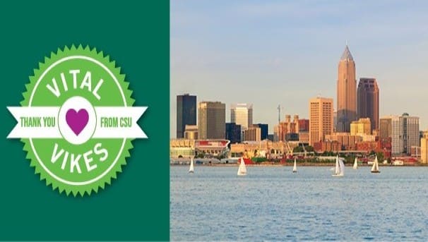 Vital Vikes Recurring Giving Program Image