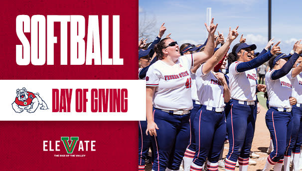 Softball Fund for Excellence Image
